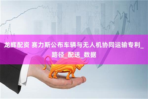龙辉配资 赛力斯公布车辆与无人机协同运输专利_路径_配送_数据
