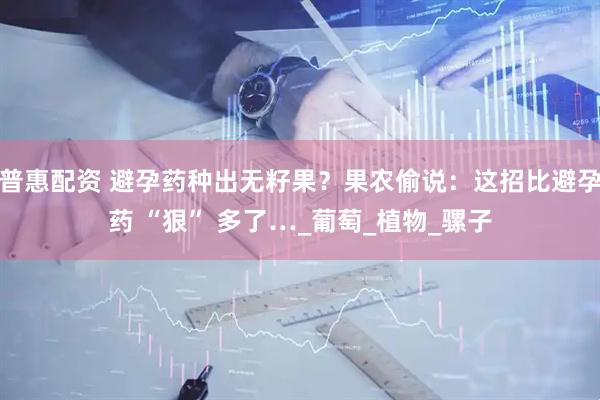 普惠配资 避孕药种出无籽果？果农偷说：这招比避孕药 “狠” 多了…_葡萄_植物_骡子