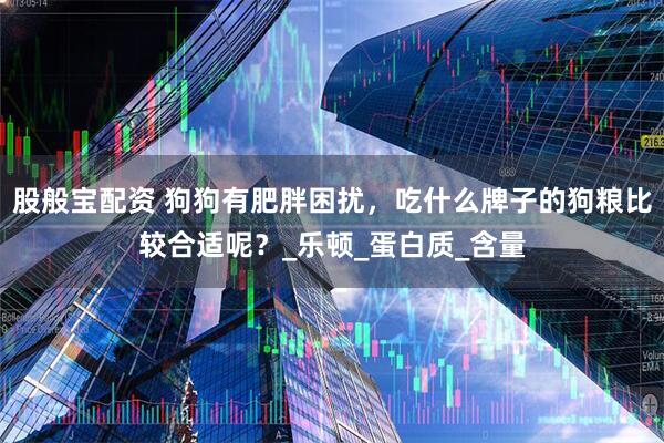 股般宝配资 狗狗有肥胖困扰，吃什么牌子的狗粮比较合适呢？_乐顿_蛋白质_含量
